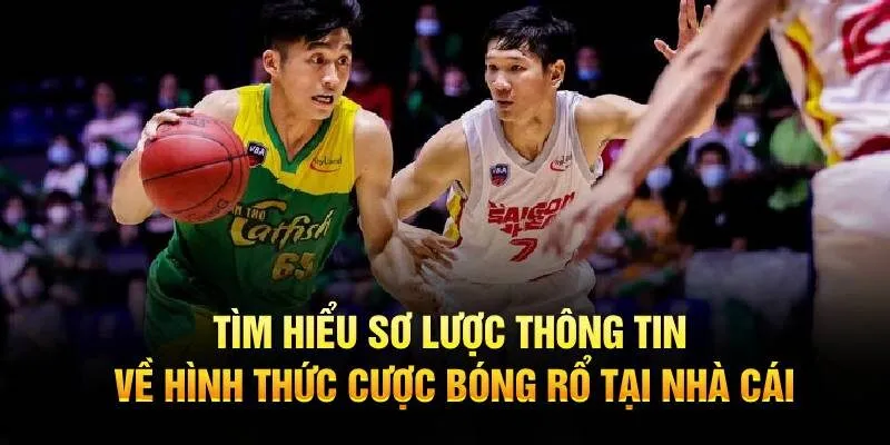 Cá Cược Bóng Rổ - Tựa Game Thể Thao Hấp Dẫn Nhất 2025 Giới thiệu tổng quan về tựa game cá cược bóng rổ