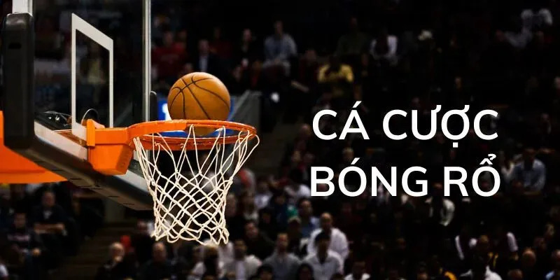 Cá Cược Bóng Rổ - Tựa Game Thể Thao Hấp Dẫn Nhất 2025 Cập nhập các hình thức cá cược bóng rổ hấp dẫn