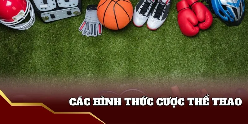 Thể Thao 8Live - Khám Phá Sân Chơi Cá Cược Đầy Hấp Dẫn Nhiều hình thức cược thể thao 8live